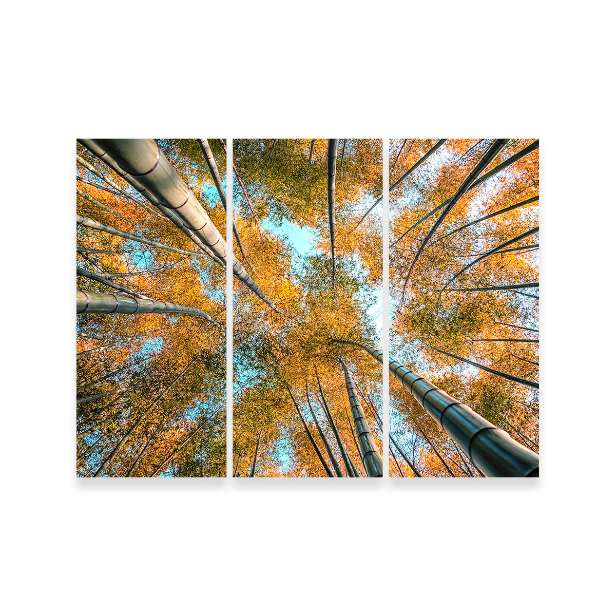 Into The Grove Wall Art