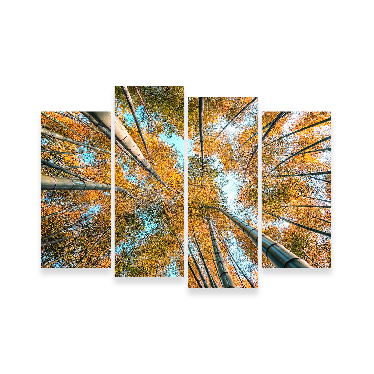 Into The Grove Wall Art