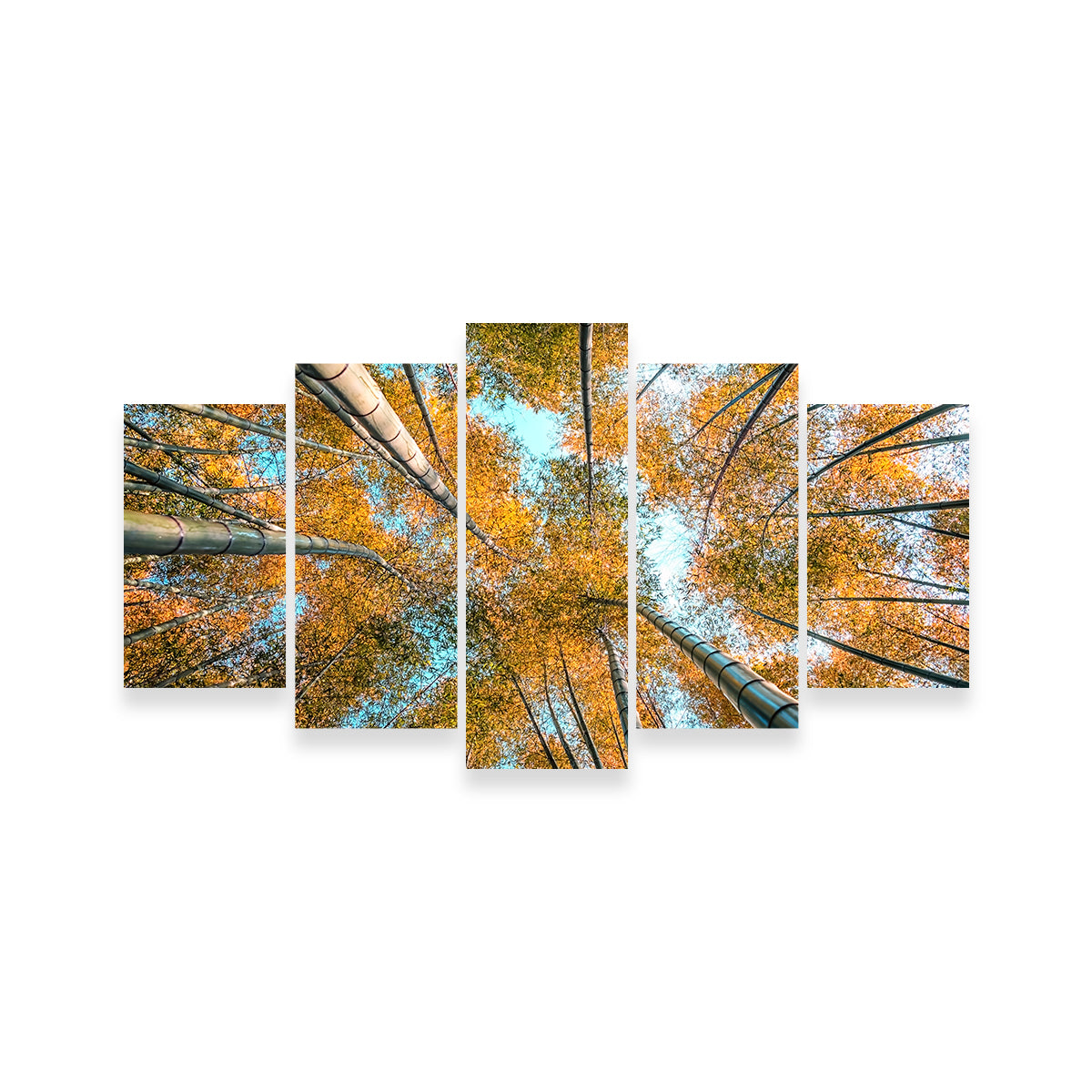 Into The Grove Wall Art