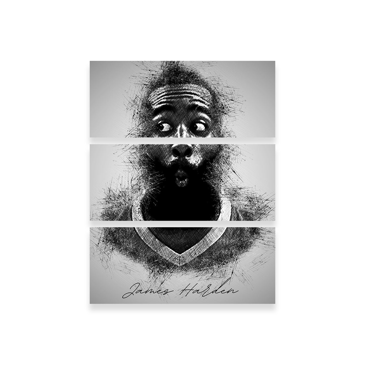 James Harden Wall Art
