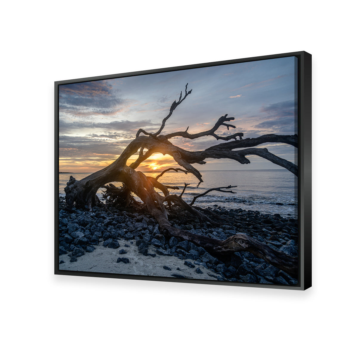 Jekyll Island Georgia Wall Art