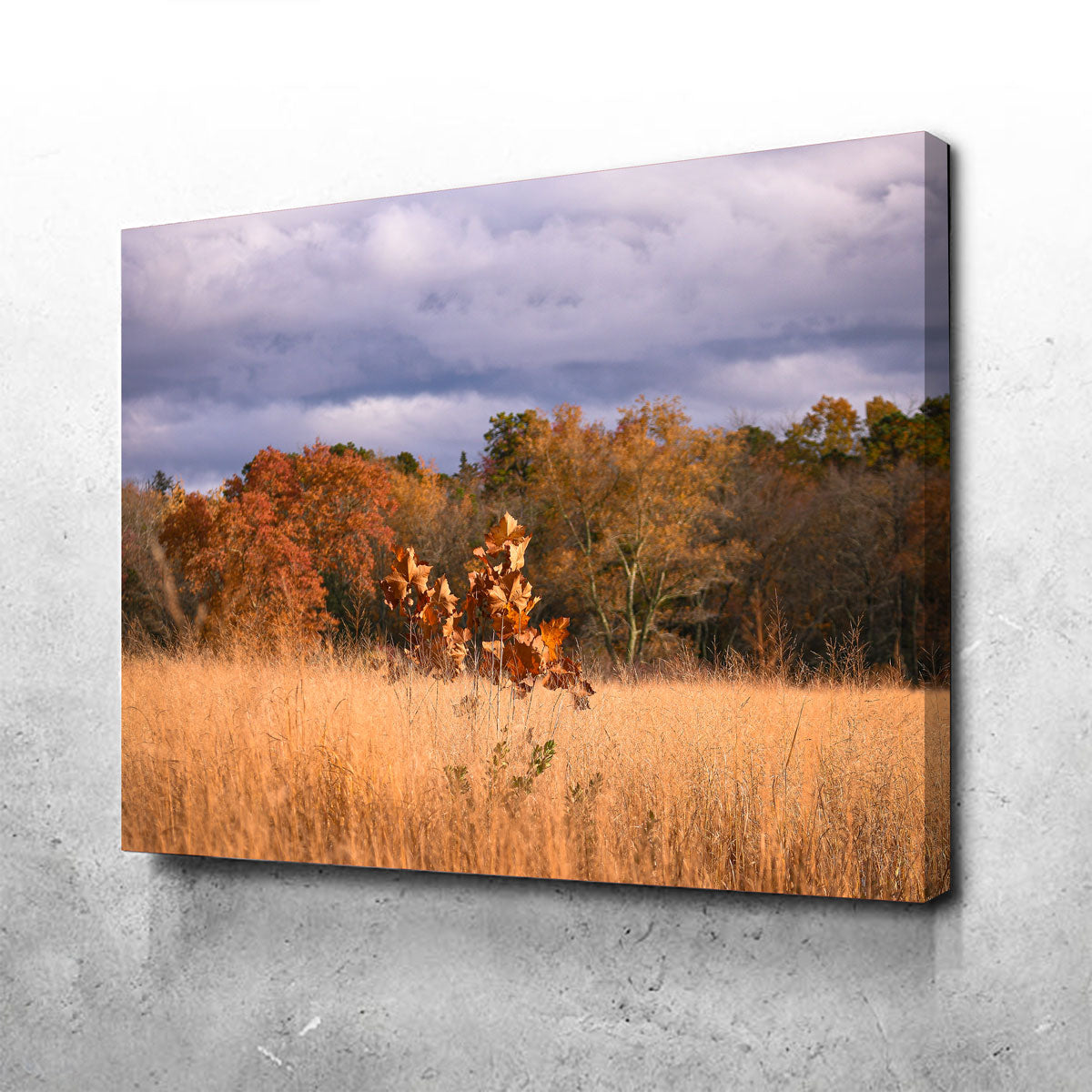 Jersey Leaves Canvas Set