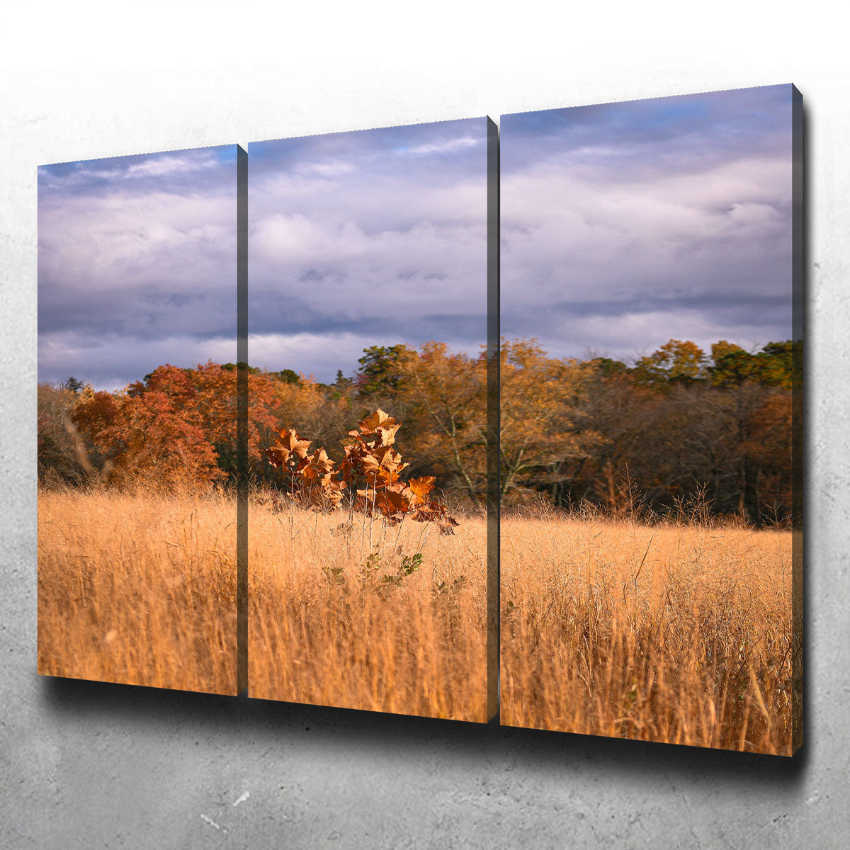 Jersey Leaves Wall Art