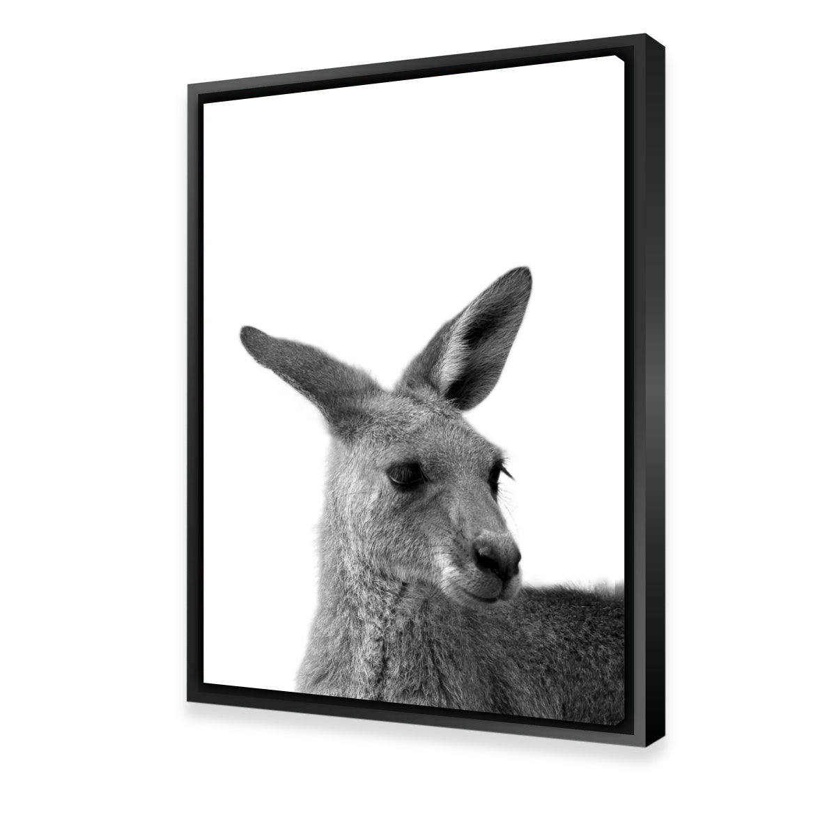 Kangaroo Wall Art