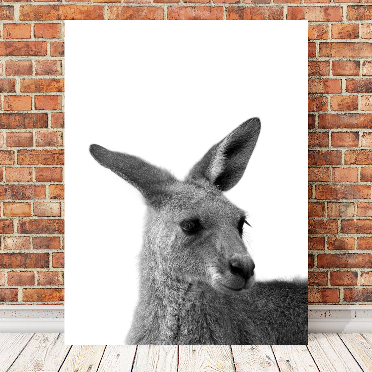 Kangaroo Wall Art