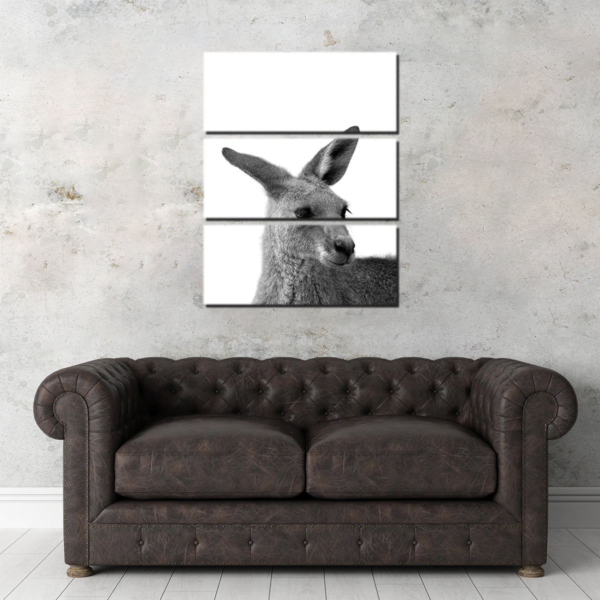 Kangaroo Wall Art