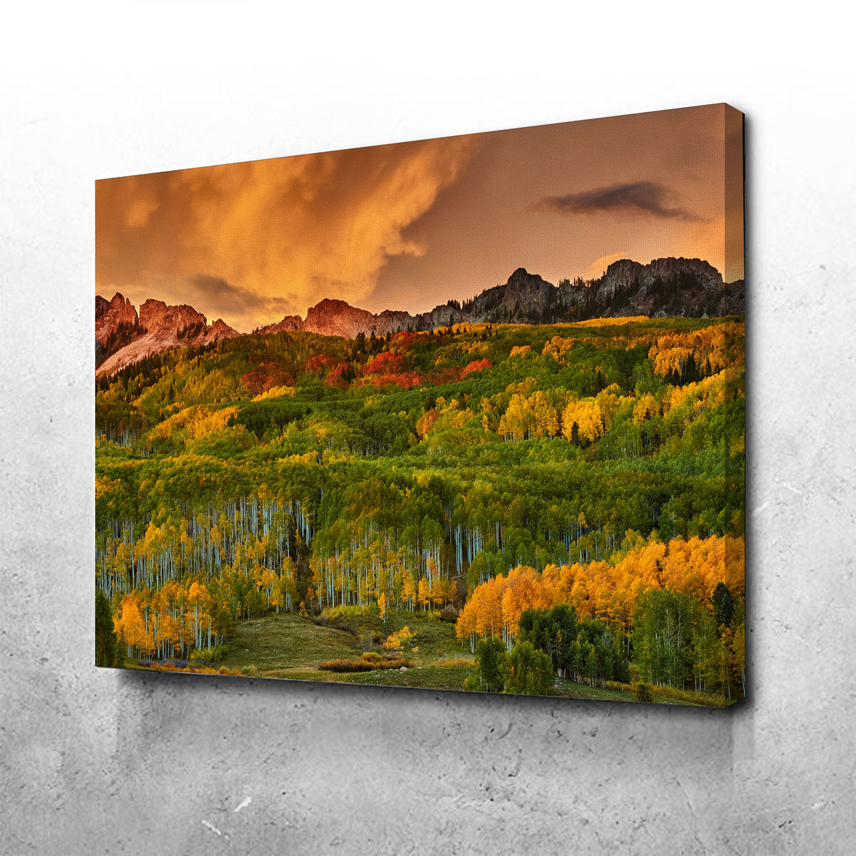 Kebler Pass Wall Art