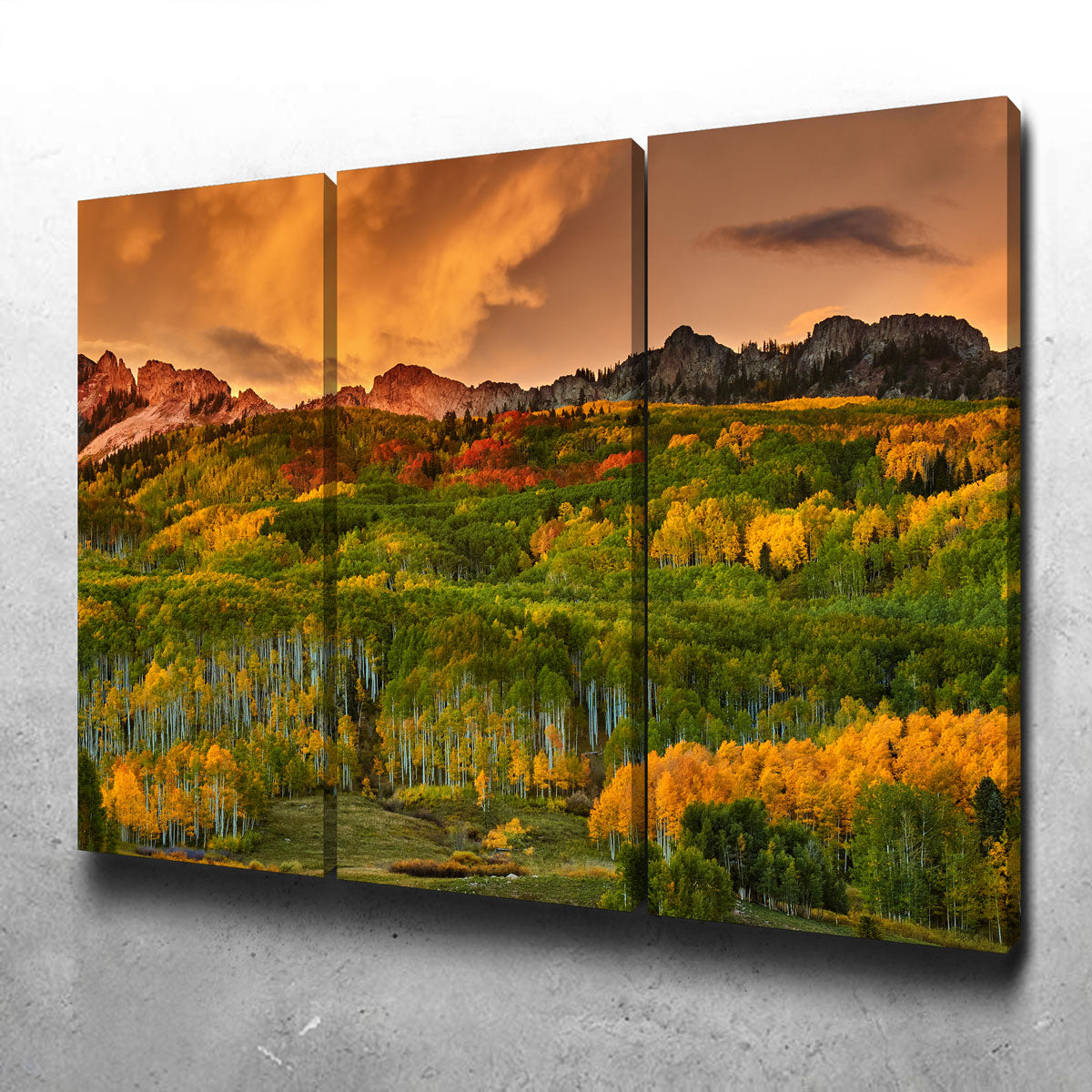 Kebler Pass Wall Art