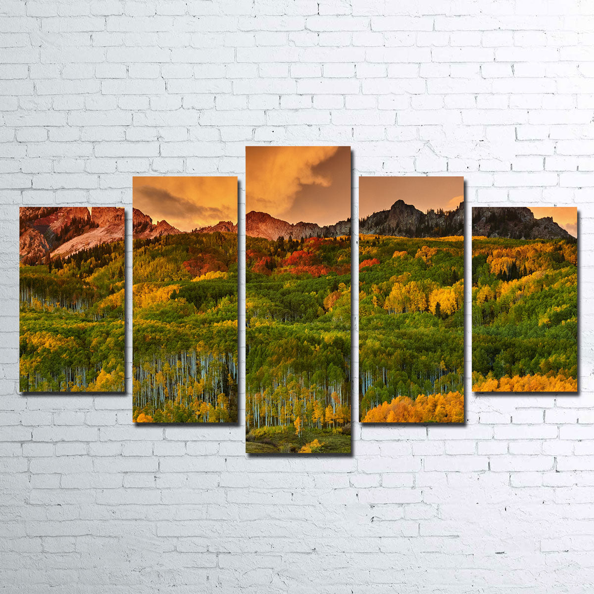 Kebler Pass Wall Art
