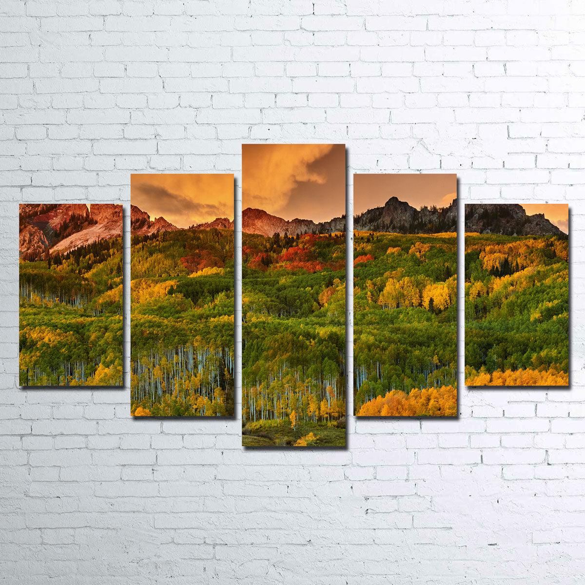 Kebler Pass Canvas Set