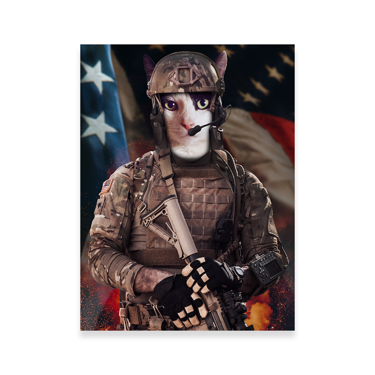 Kitten Soldier Wall Art