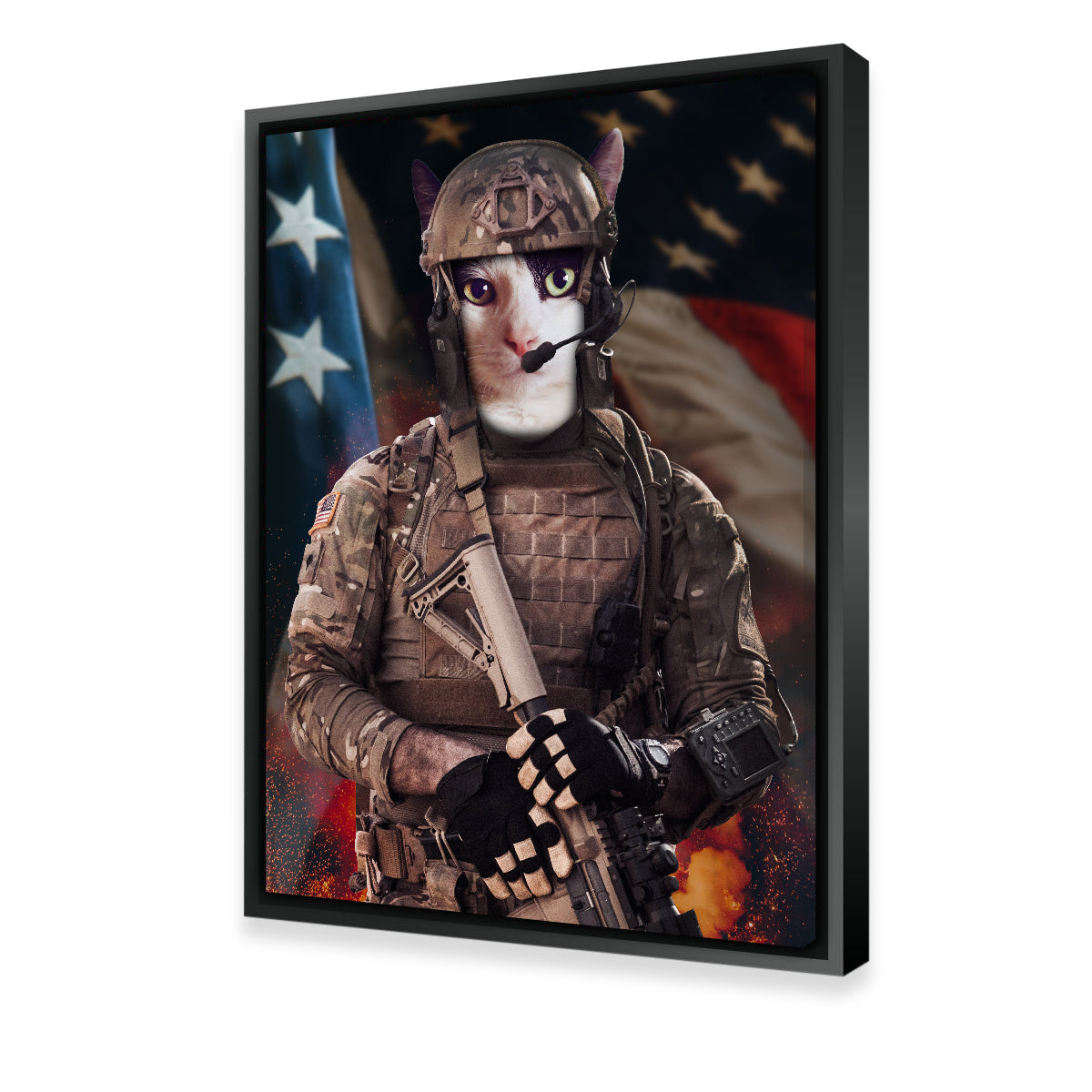 Kitten Soldier Wall Art