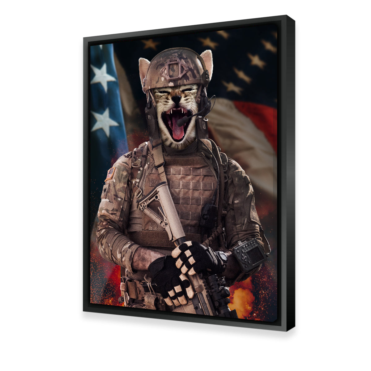 Kitty Soldier Wall Art