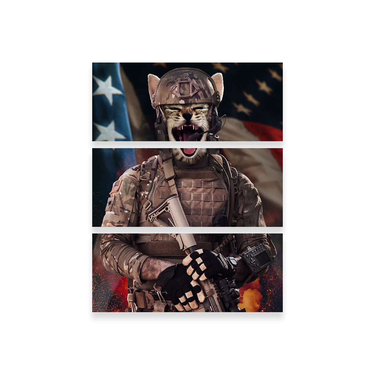 Kitty Soldier Wall Art