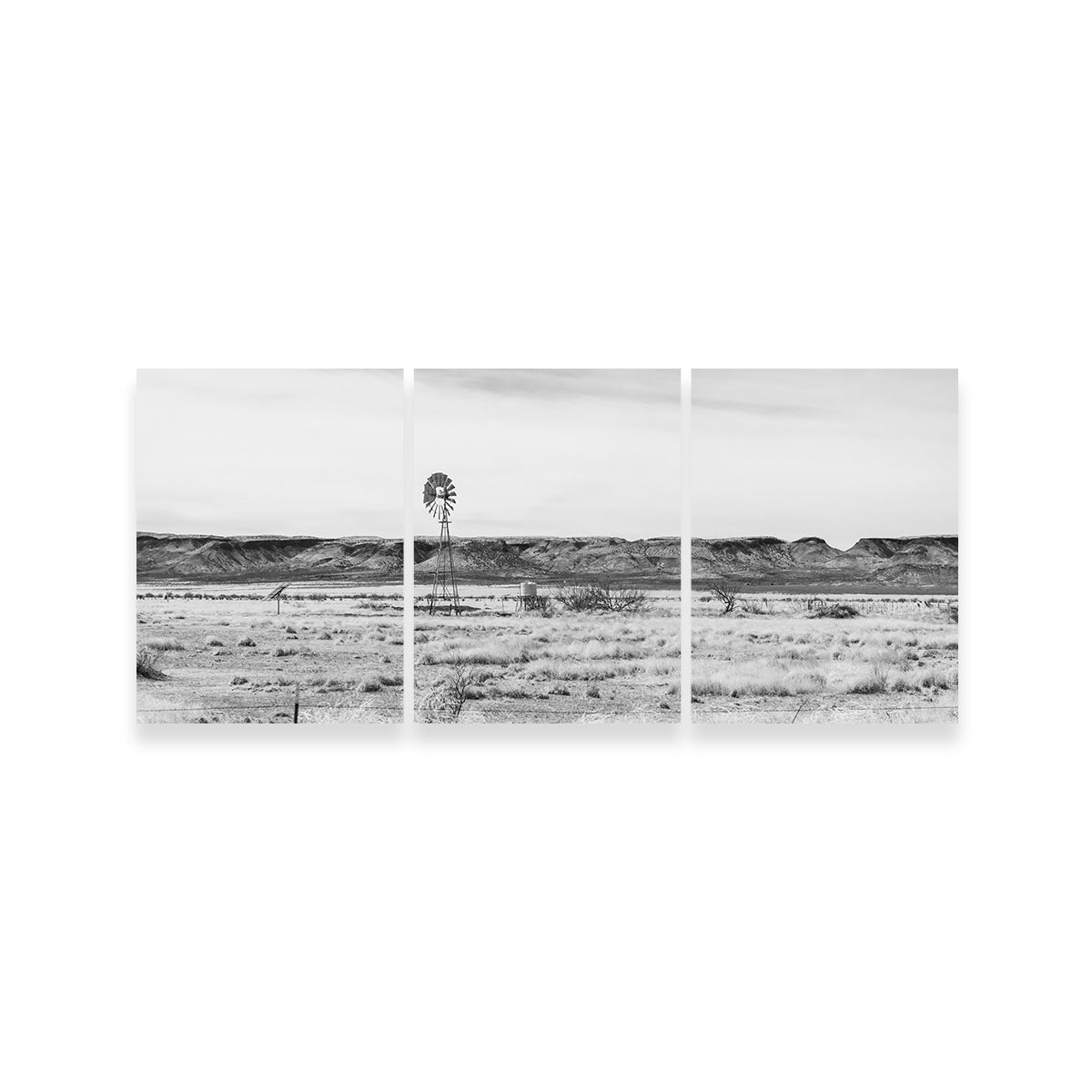 Lajitas Texas Wall Art