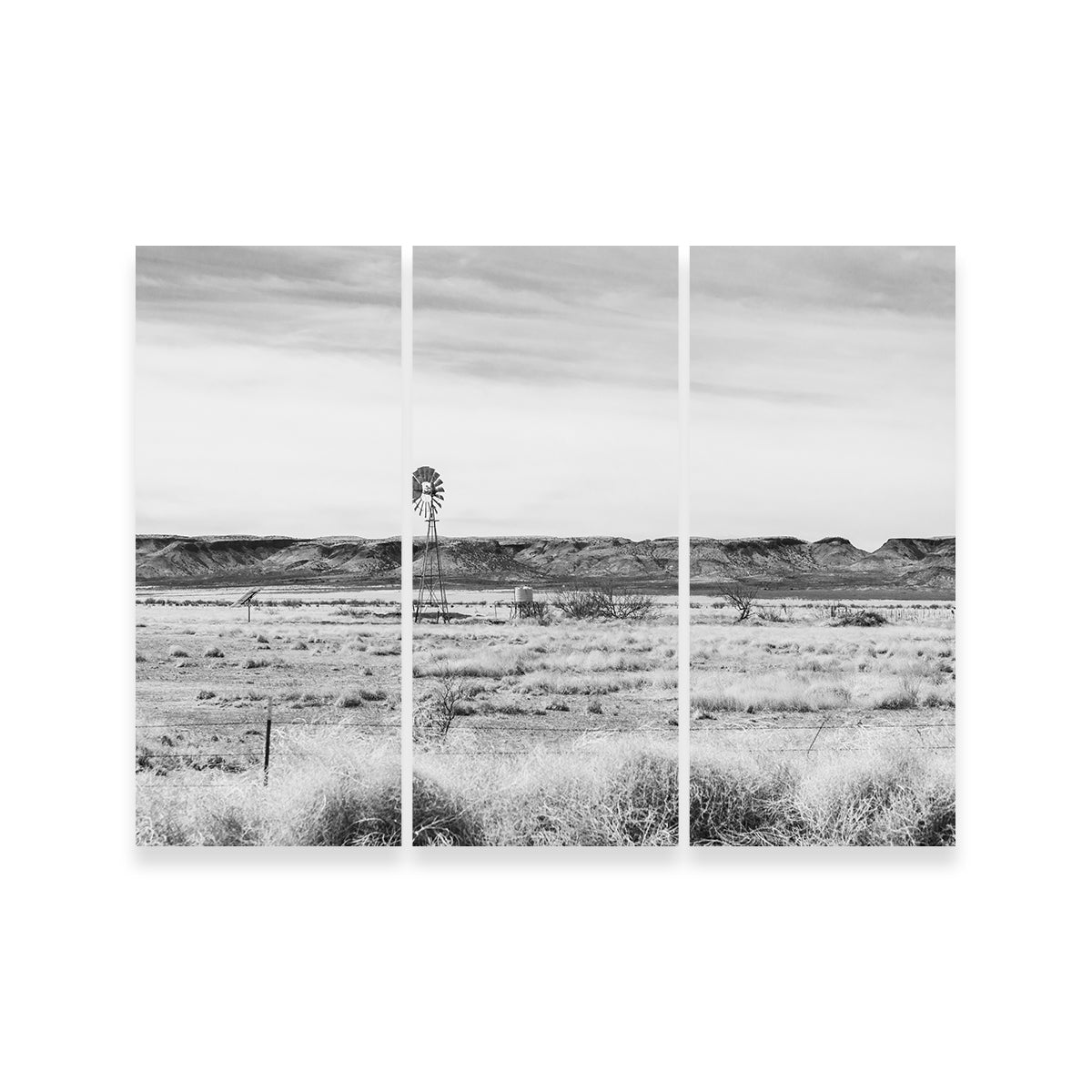 Lajitas Texas Wall Art