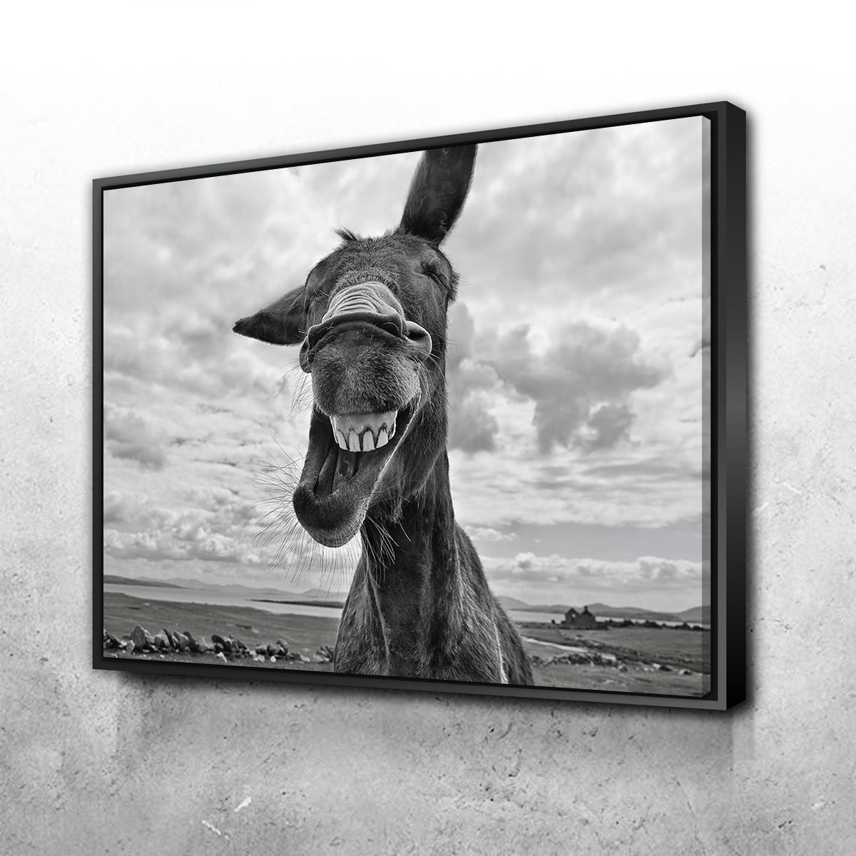 Laughing Donkey Wall Art
