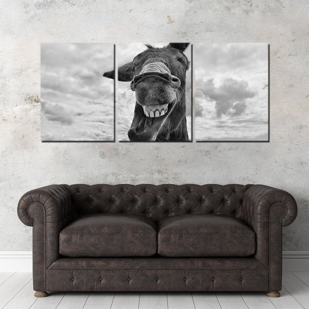 Laughing Donkey Wall Art