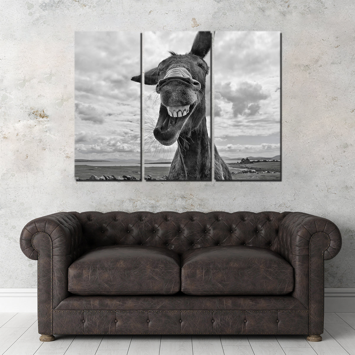 Laughing Donkey Wall Art