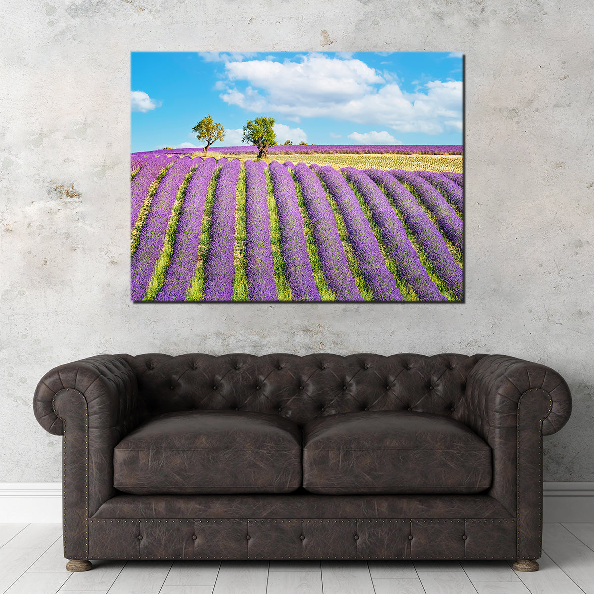 Lavender Field Wall Art