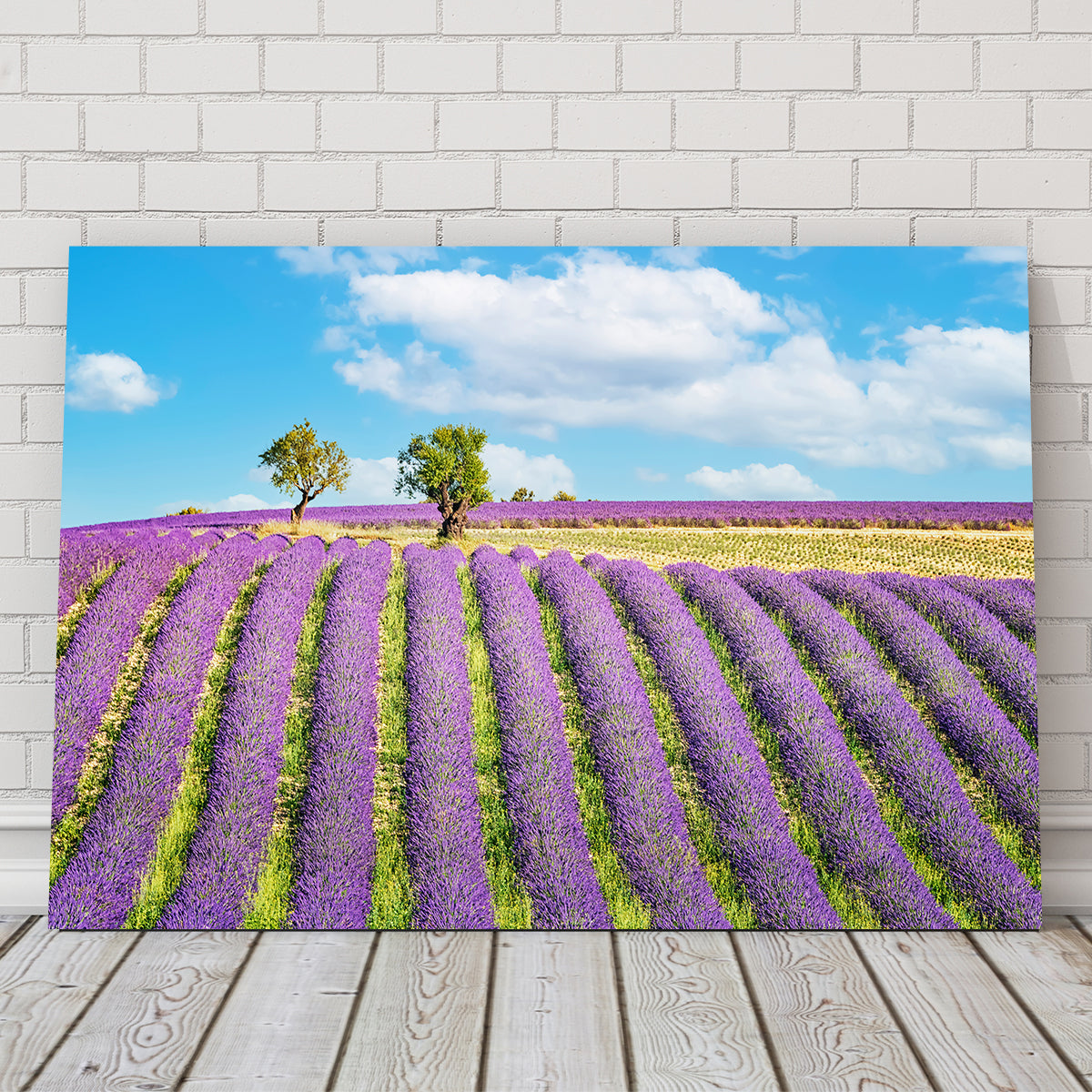 Lavender Field Wall Art