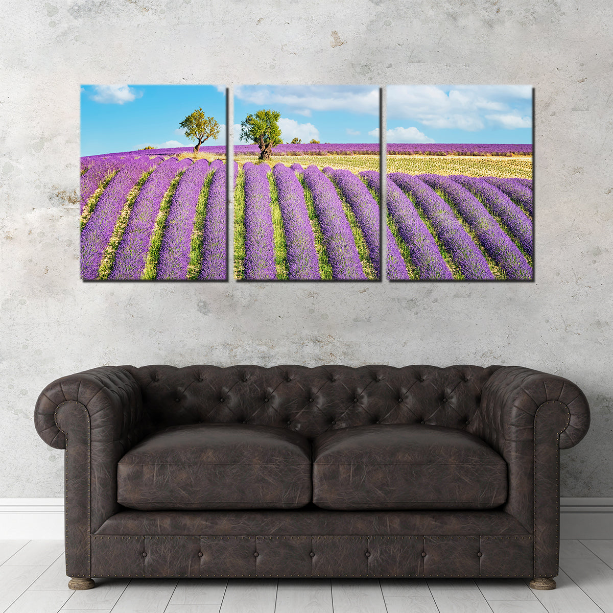 Lavender Field Wall Art