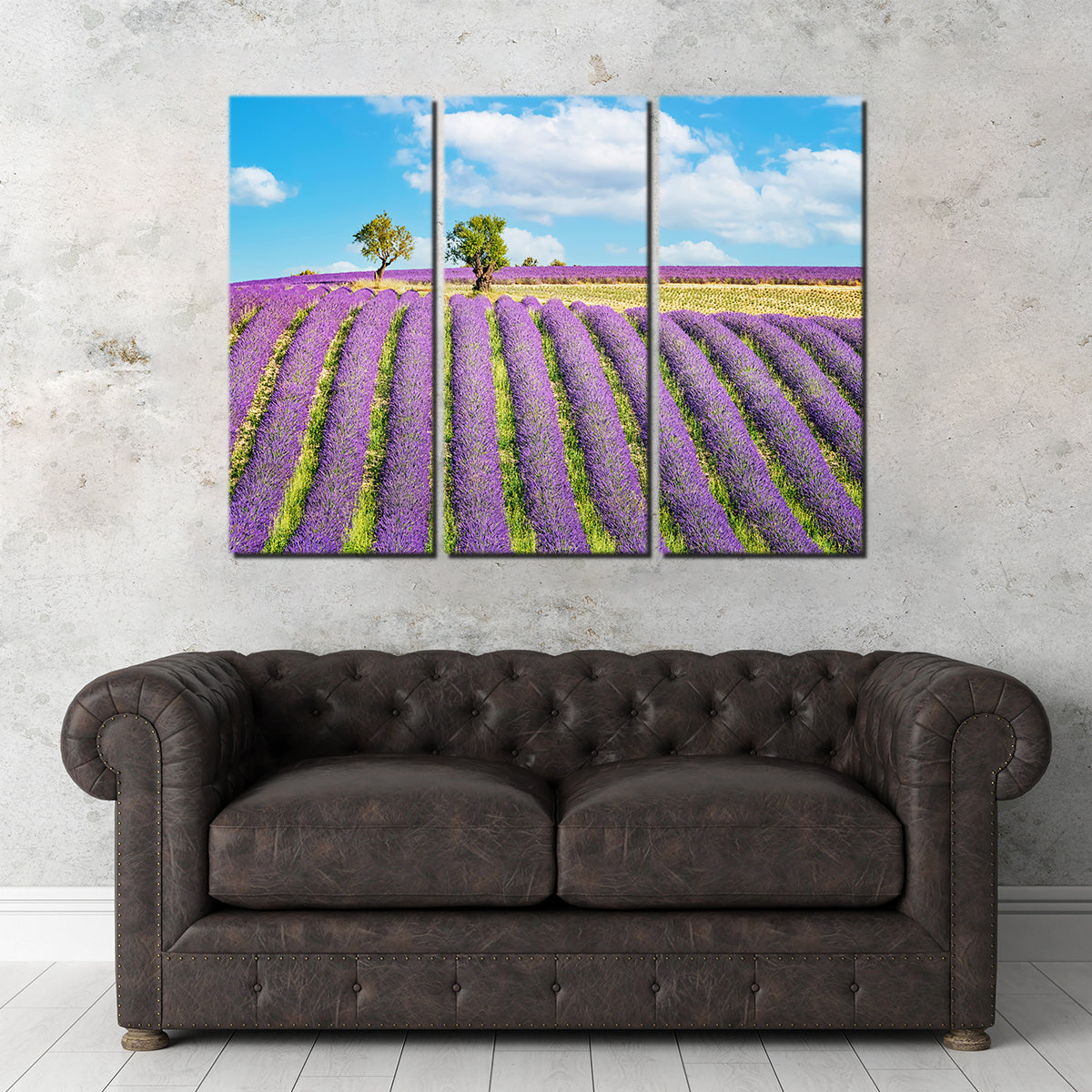 Lavender Field Wall Art