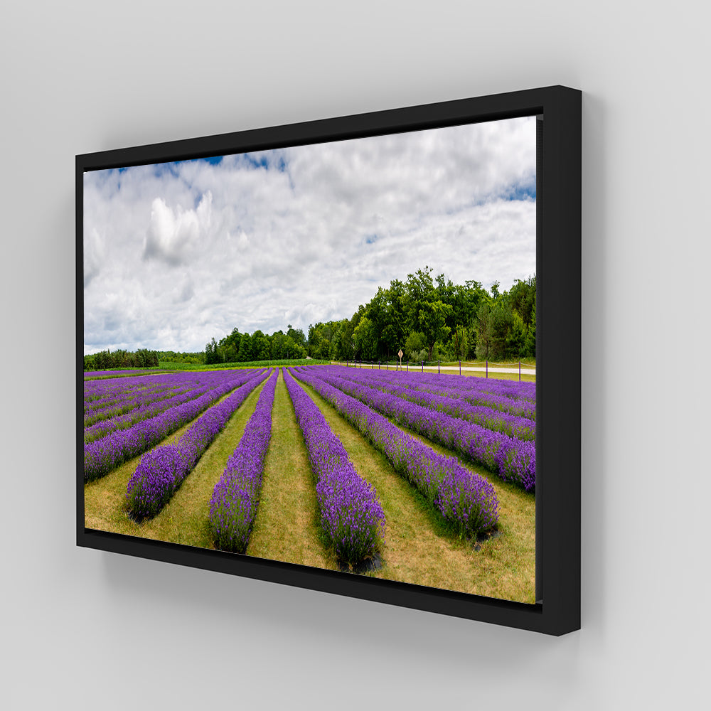 Lavender Rose Door County Wall Art