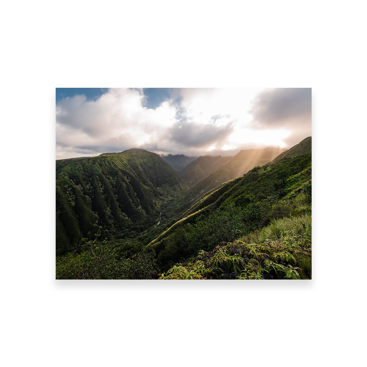 Light in the Valley Wall Art