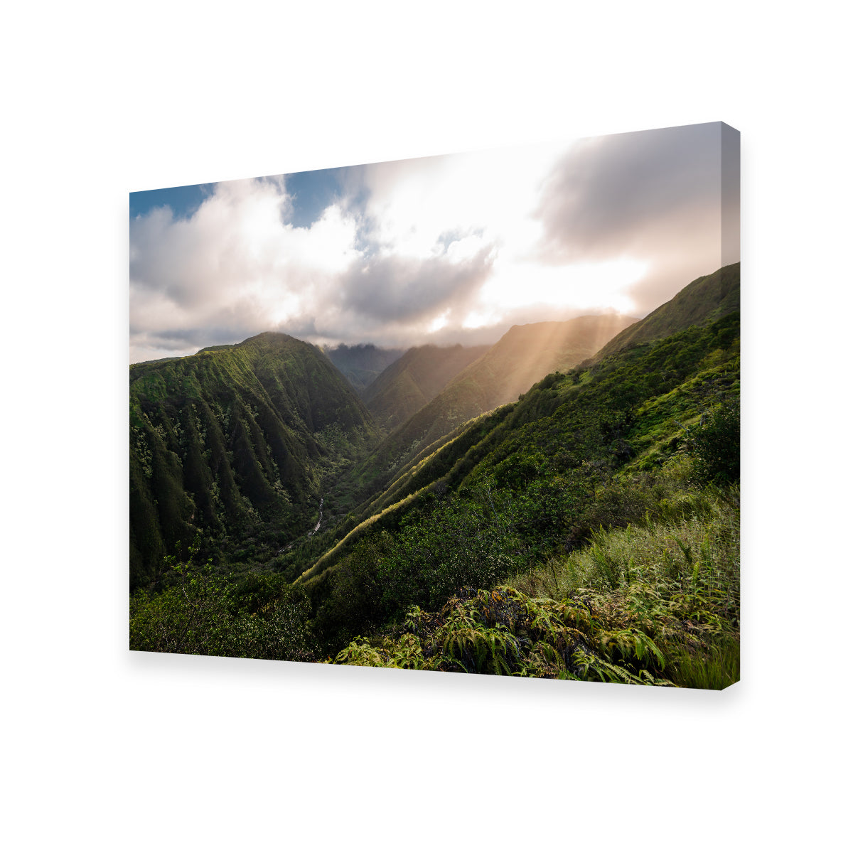 Light in the Valley Wall Art