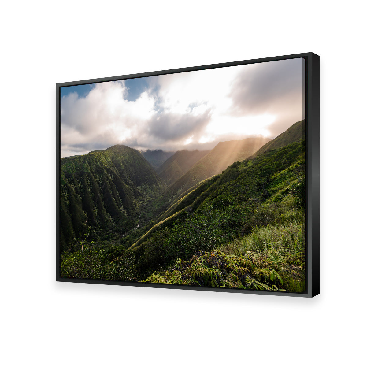 Light in the Valley Wall Art