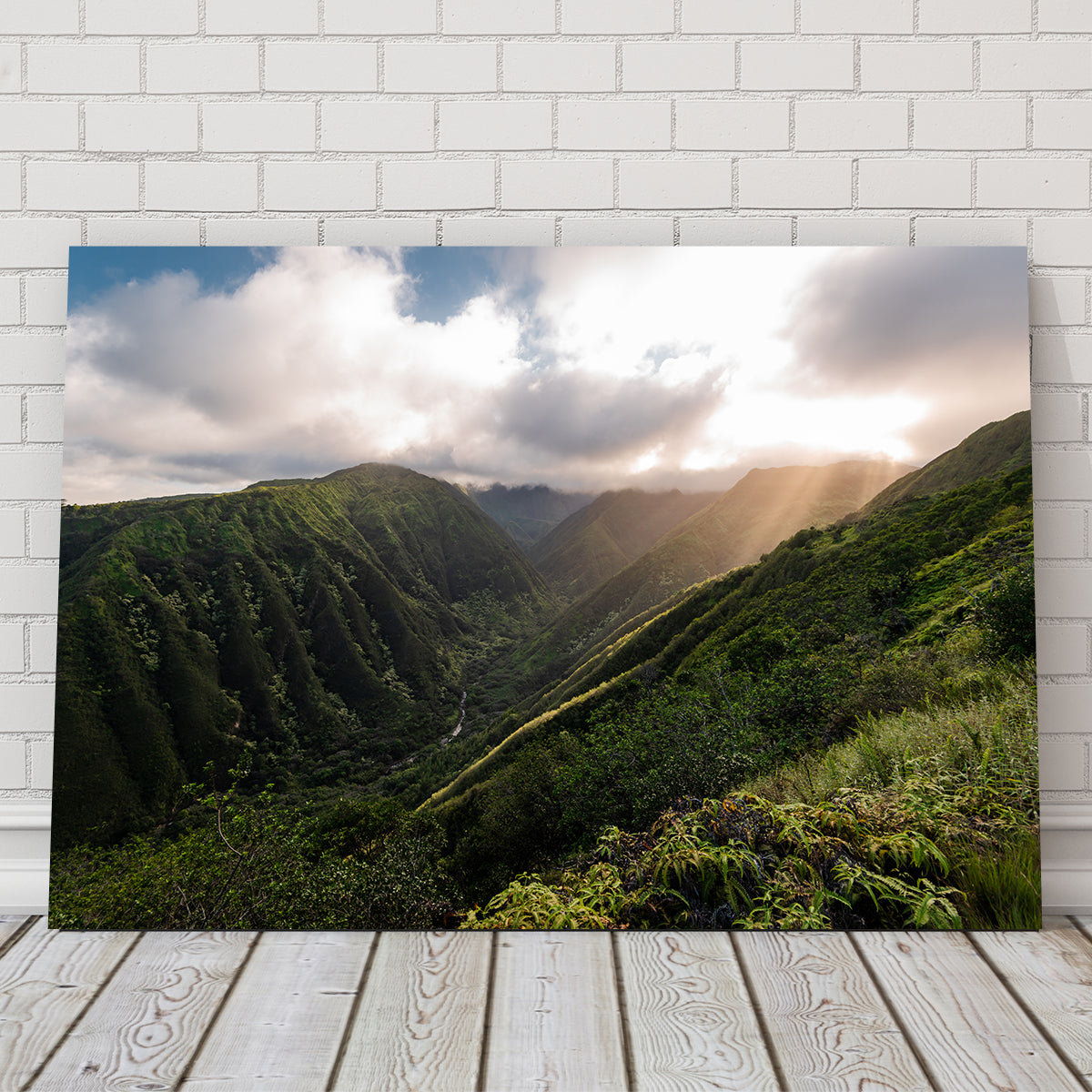 Light in the Valley Wall Art