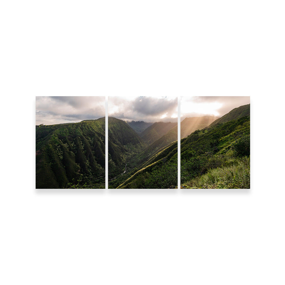 Light in the Valley Wall Art