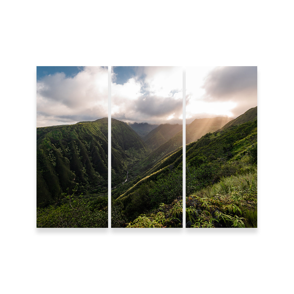 Light in the Valley Wall Art