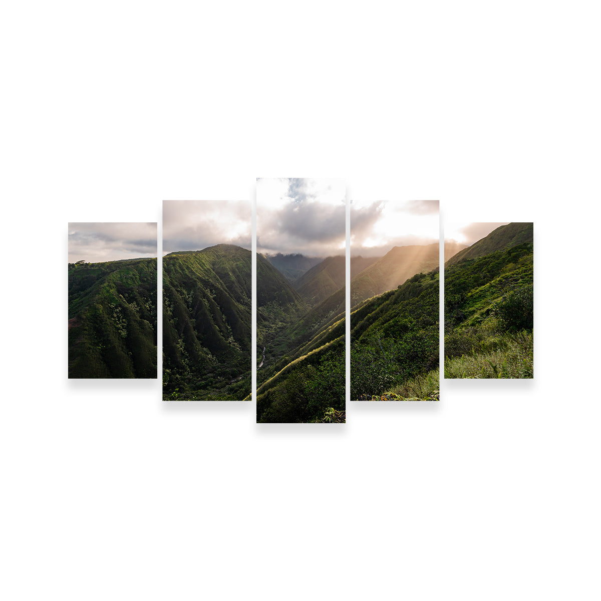 Light in the Valley Wall Art