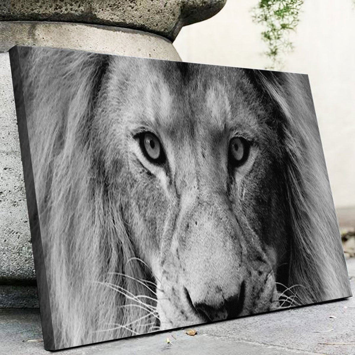 Lion Wall Art