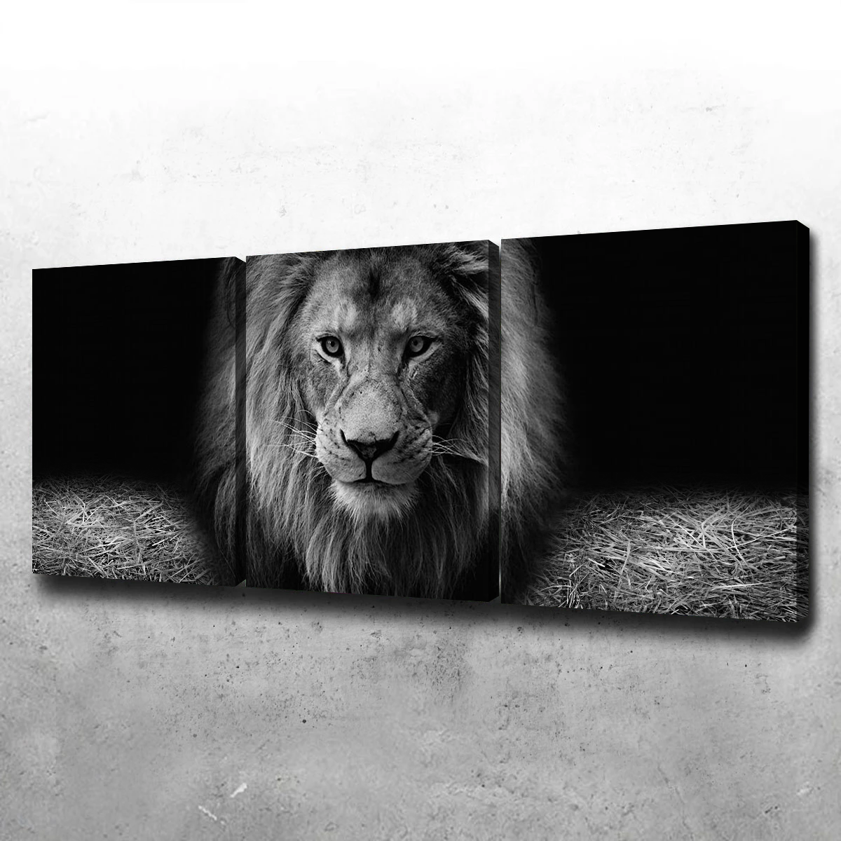 Lion Head Wall Art