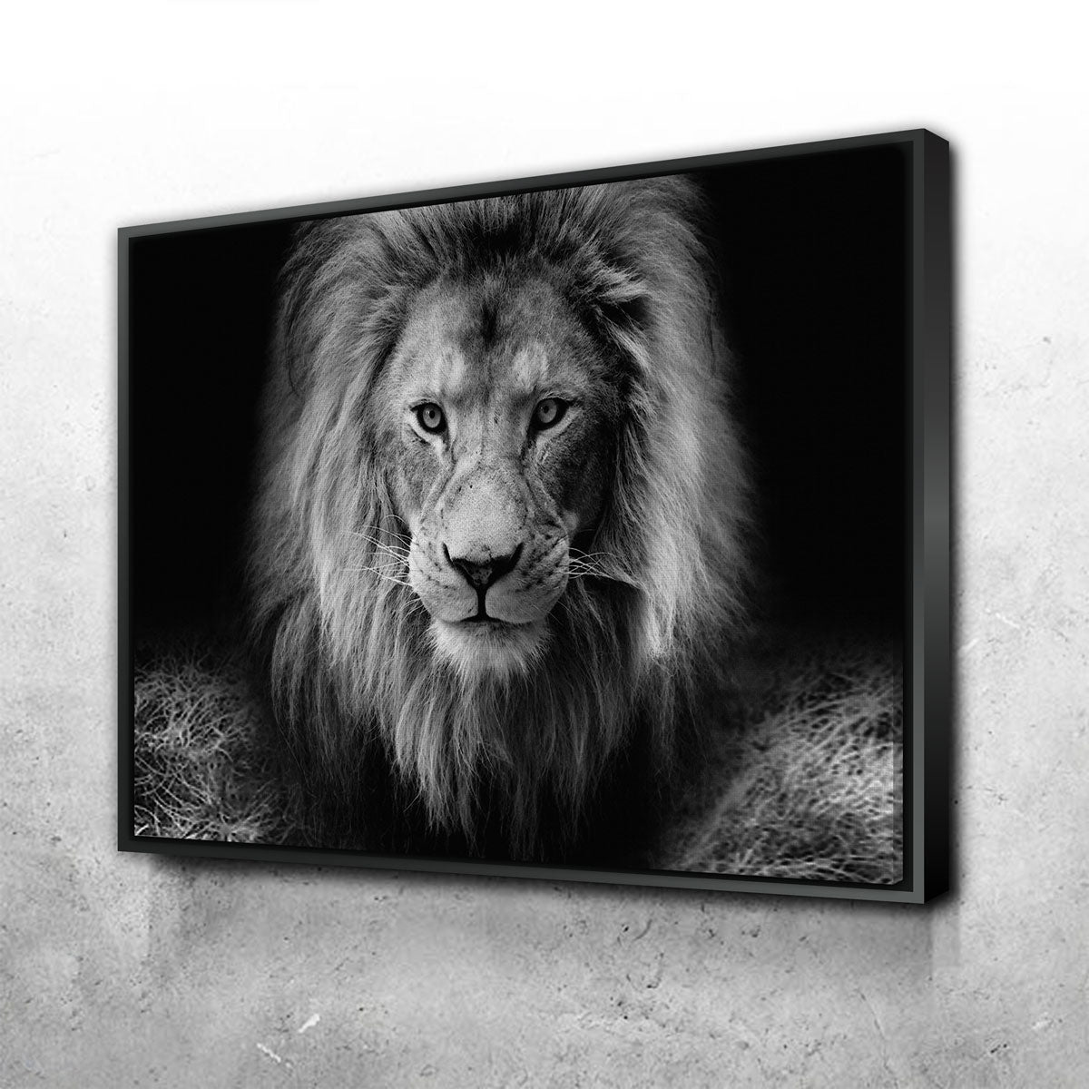 Lion Head Canvas Set