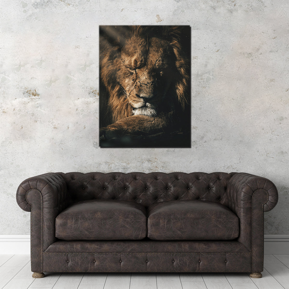 Lion Sleeping Wall Art