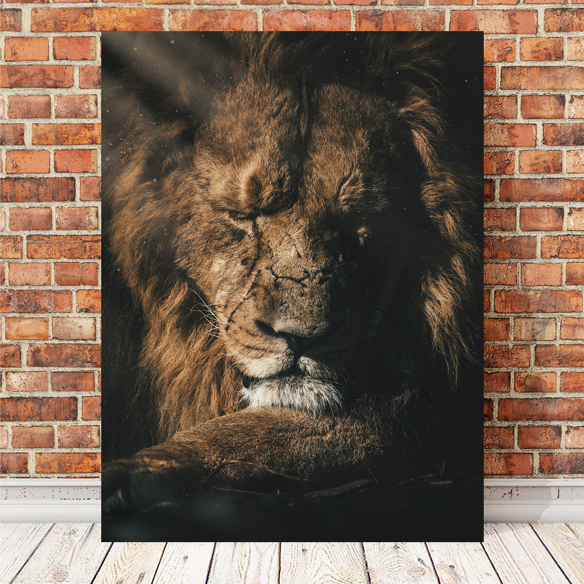 Lion Sleeping Wall Art