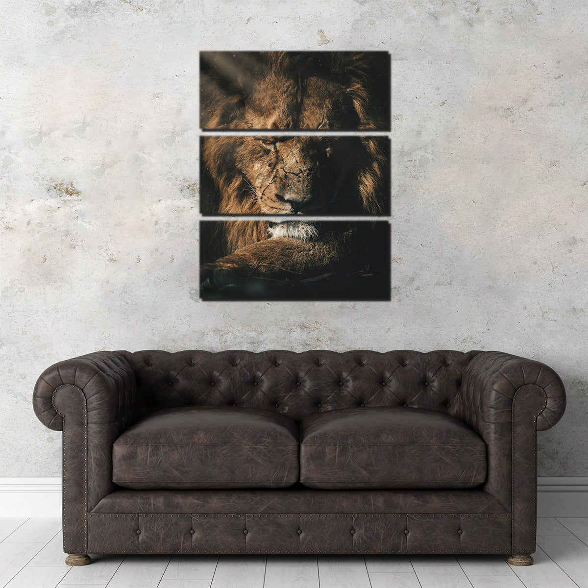 Lion Sleeping Wall Art