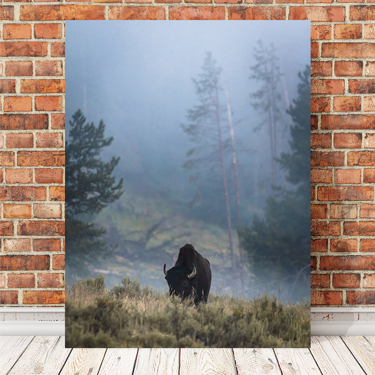 Lone Buffalo Wall Art