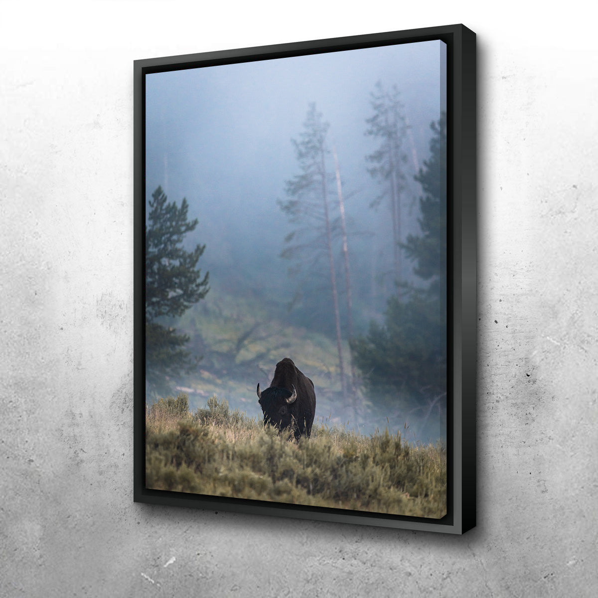 Lone Buffalo Wall Art