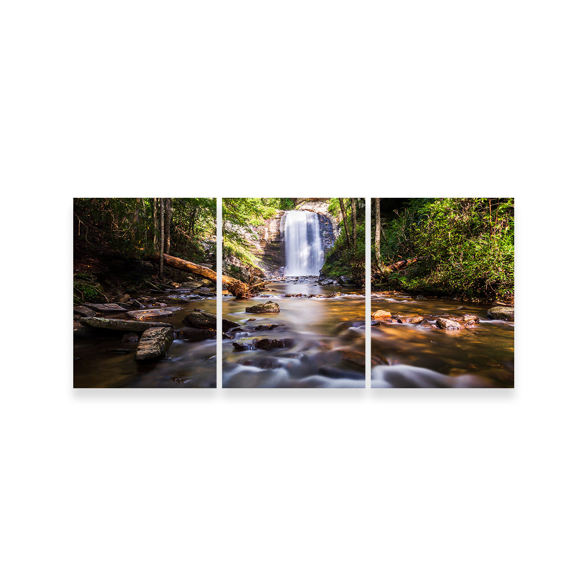 Looking Glass Falls NC Wall Art