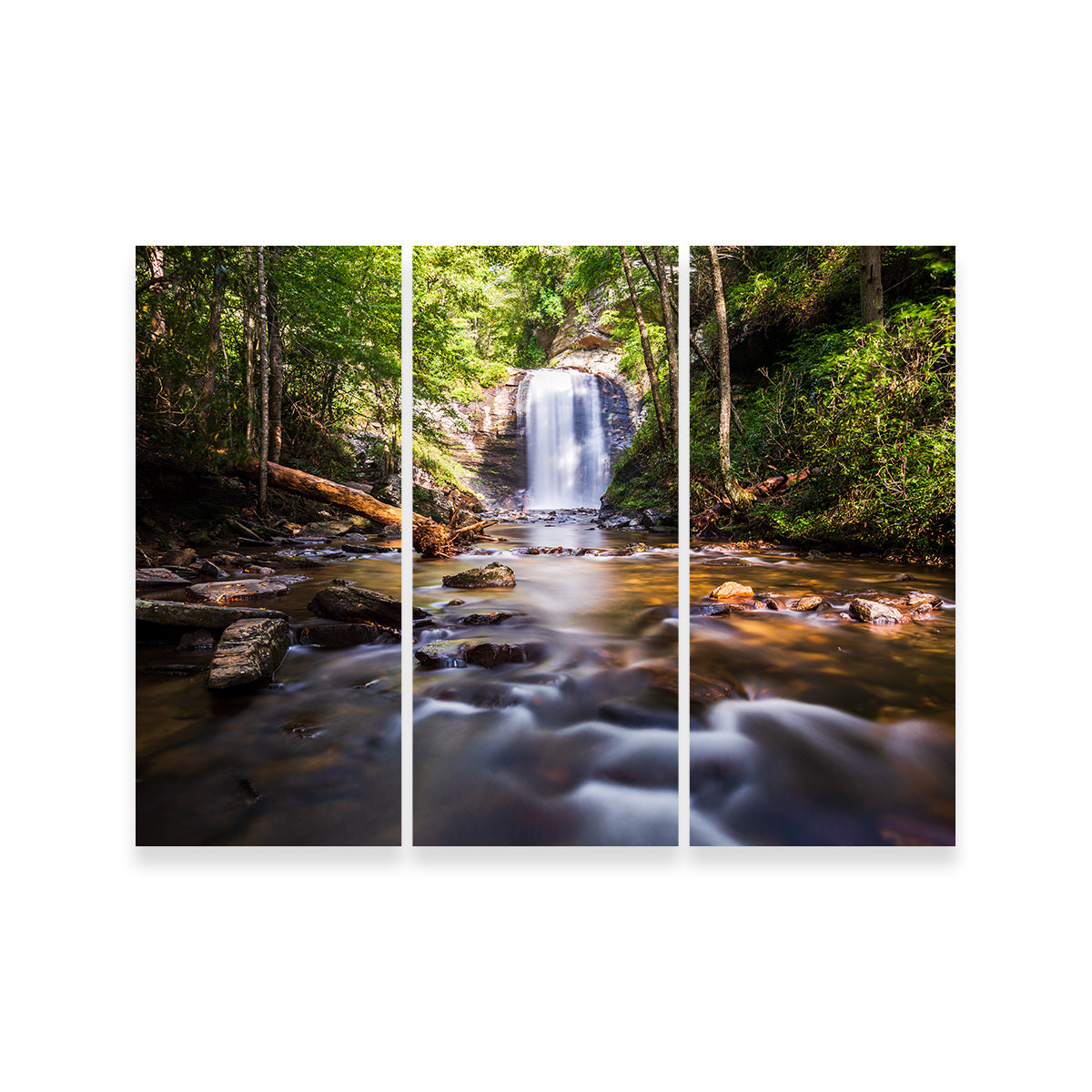 Looking Glass Falls NC Wall Art