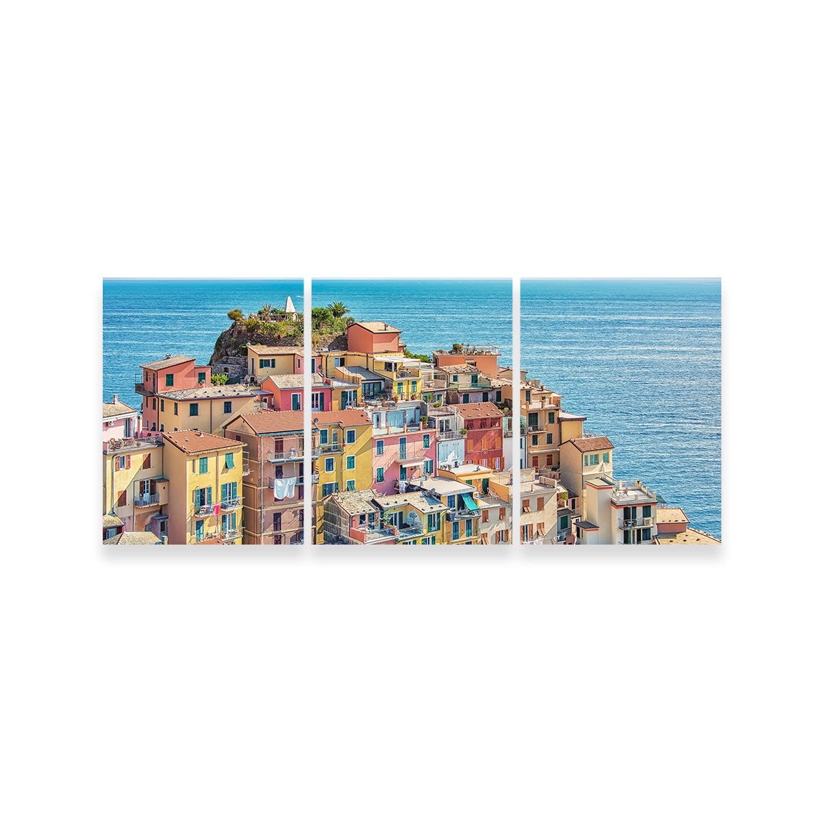 Manarola Village