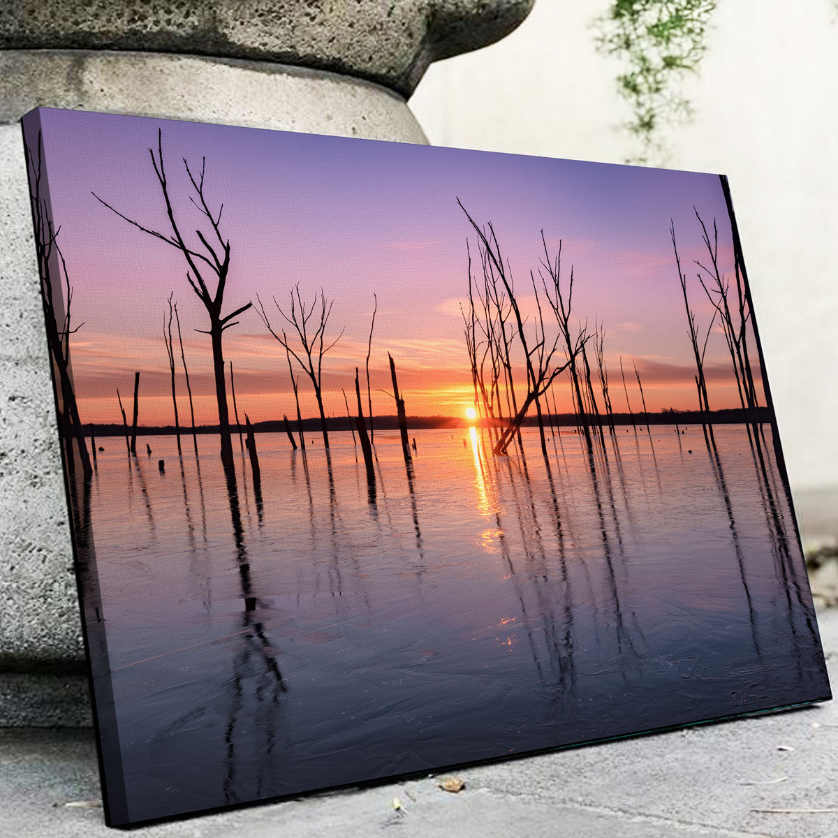 First Light Wall Art