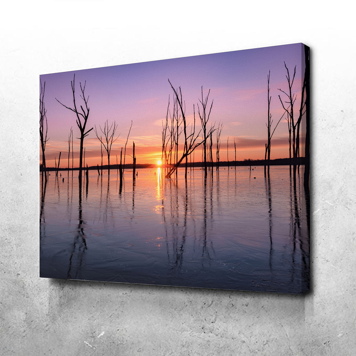 First Light Wall Art