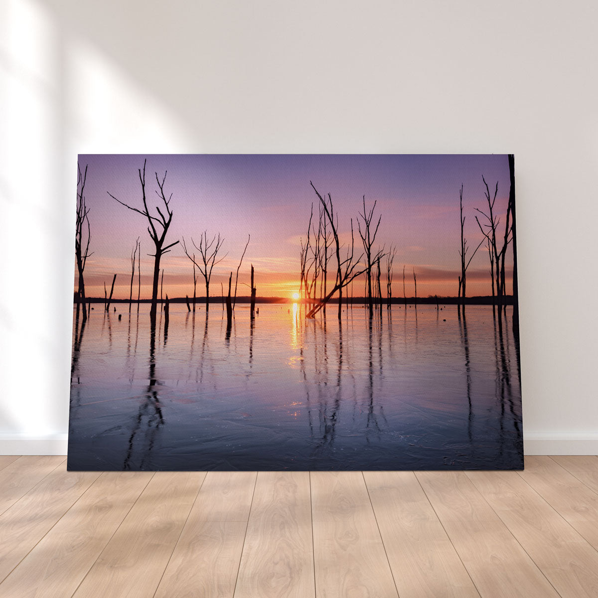 First Light Wall Art