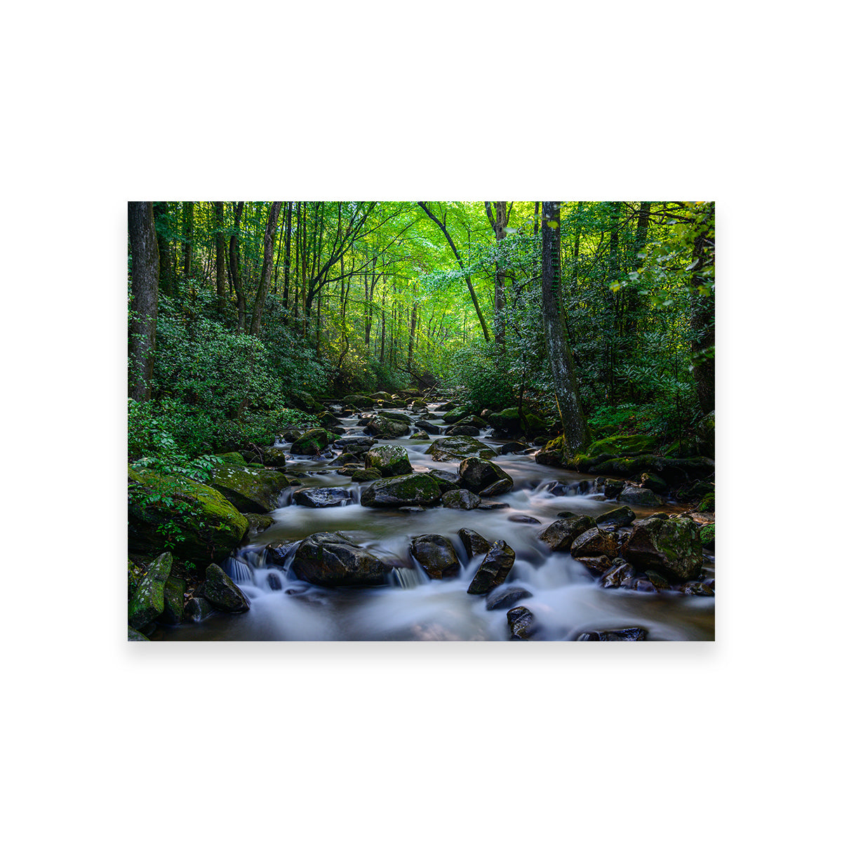 Mariatta South Carolina Wall Art